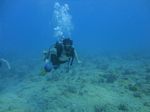 Hawaii Scuba divng 53