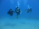 Hawaii Scuba divng 56