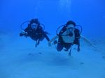 Hawaii Scuba divng 57