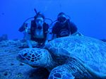 Hawaii Scuba divng 25