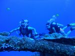 Hawaii Scuba divng 26