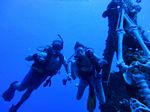 Hawaii Scuba divng 27