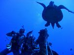 Hawaii Scuba divng 28