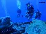 Hawaii Scuba divng 42