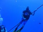 Hawaii Scuba divng 44