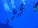 Hawaii Scuba divng 45