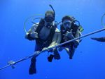 Hawaii Scuba divng 48