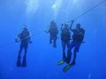 Hawaii Scuba divng 51