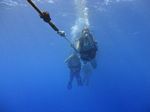 Hawaii Scuba divng 56