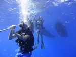 Hawaii Scuba divng 05