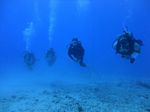 Hawaii Scuba divng 60