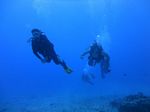 Hawaii Scuba divng 61