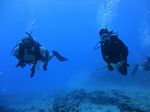 Hawaii Scuba divng 65