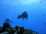 Hawaii Scuba divng 70