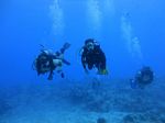 Hawaii Scuba divng 72