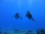 Hawaii Scuba divng 73