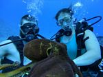 Hawaii Scuba divng 76