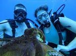 Hawaii Scuba divng 77