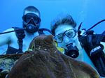 Hawaii Scuba divng 78