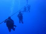 Hawaii Scuba divng 07