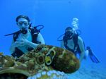 Hawaii Scuba divng 86