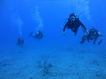 Hawaii Scuba divng 90