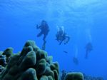 Hawaii Scuba divng 91