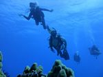 Hawaii Scuba divng 92