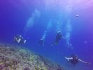 Hawaii Scuba divng 10