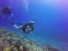 Hawaii Scuba divng 12