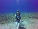 Hawaii Scuba divng 15