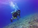 Hawaii Scuba divng 18