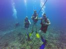 Hawaii Scuba divng 19