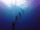 Hawaii Scuba divng 01