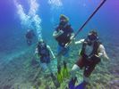 Hawaii Scuba divng 21