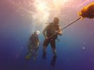 Hawaii Scuba divng 23