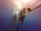 Hawaii Scuba divng 24