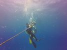 Hawaii Scuba divng 25