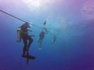 Hawaii Scuba divng 28