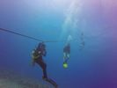 Hawaii Scuba divng 32