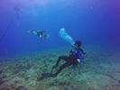 Hawaii Scuba divng 33