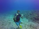 Hawaii Scuba divng 34