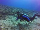 Hawaii Scuba divng 37