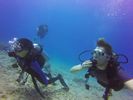 Hawaii Scuba divng 39