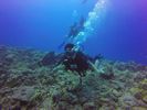 Hawaii Scuba divng 03