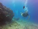 Hawaii Scuba divng 41