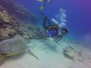 Hawaii Scuba divng 43