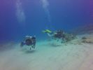 Hawaii Scuba divng 46