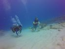 Hawaii Scuba divng 47