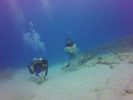 Hawaii Scuba divng 48